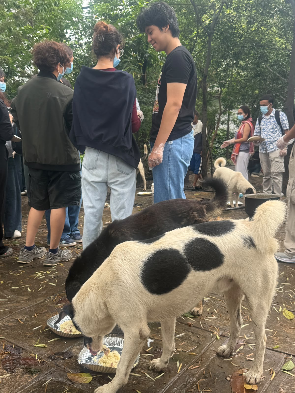 Report Image