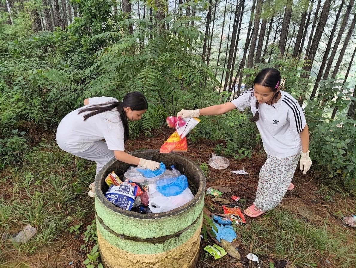 Report Image