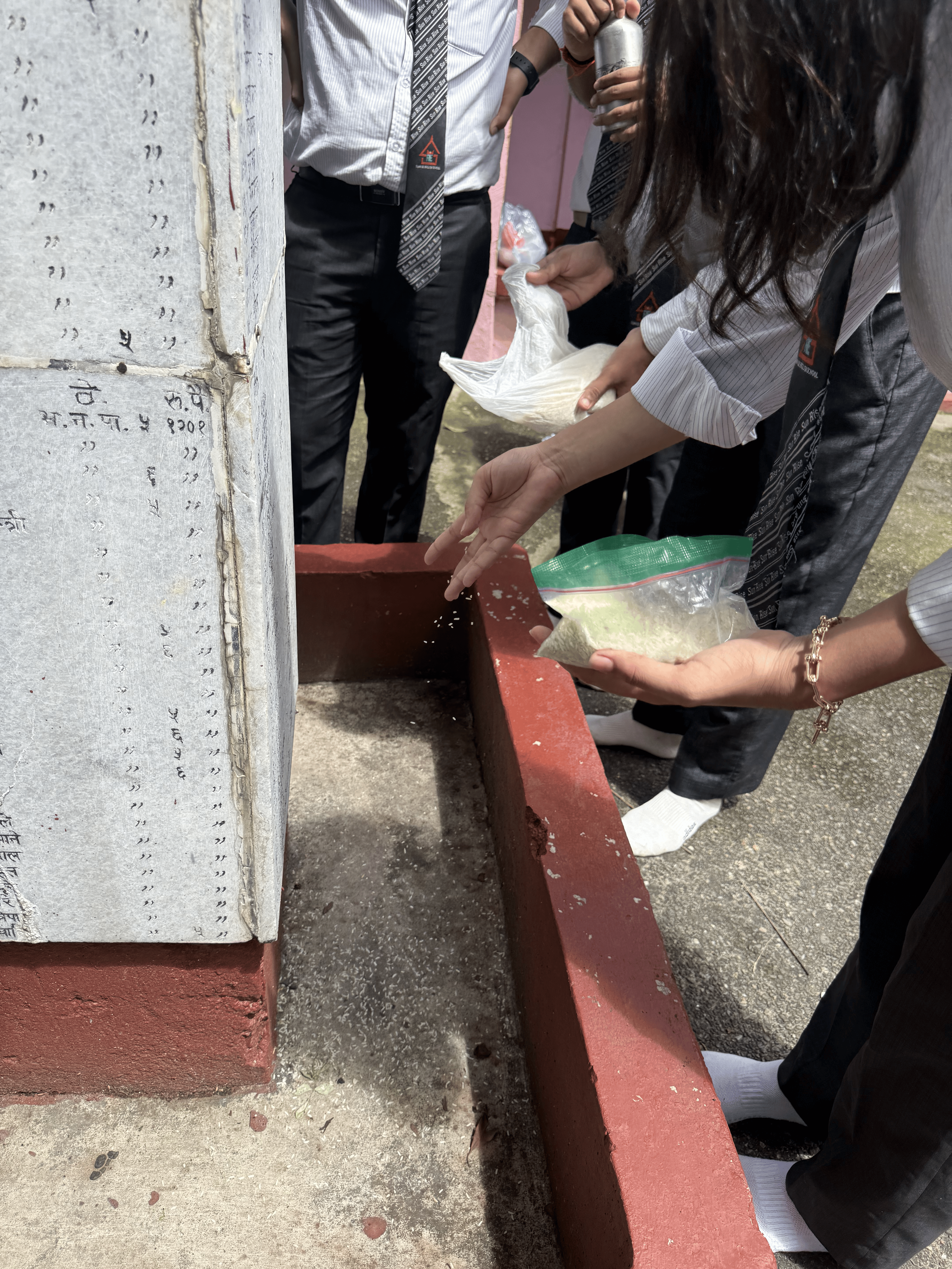 Report Image
